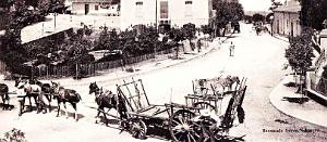 1074- Zemmorah - Rue de Relizane2